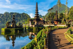 Travel Agencies in Hyderabad