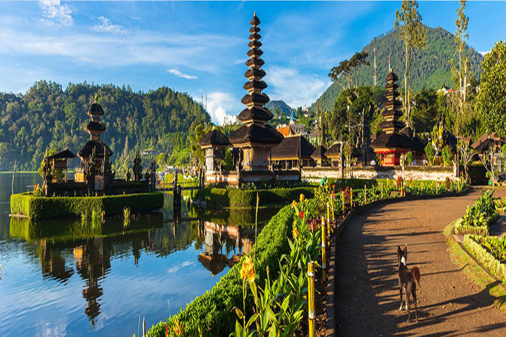 bali tour packages from hyderabad